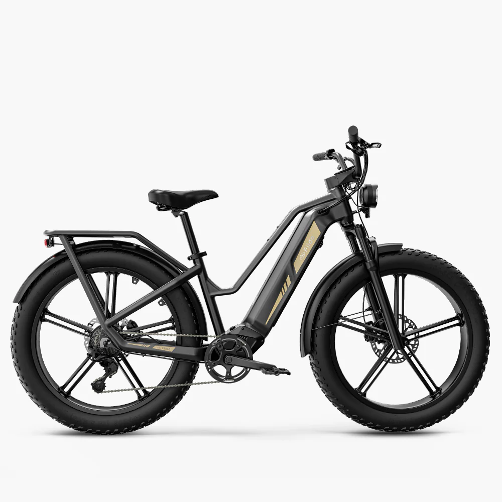 Fiido Titan Robust Cargo Electric Bike 