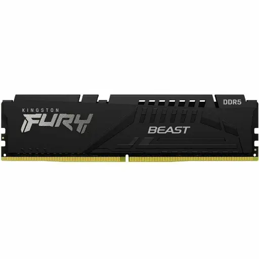 Kingston  RAM Module