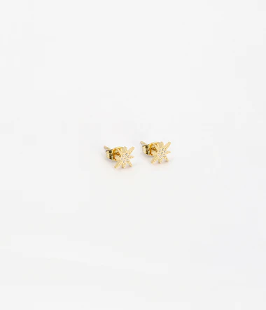 Isaac Stud Earrings