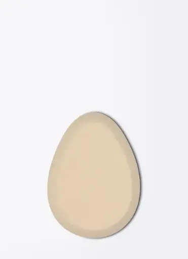 makeup sponge 