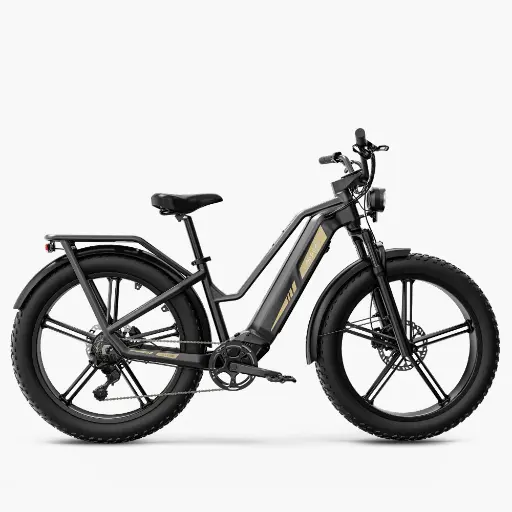 Fiido Titan Robust Cargo Electric Bike 