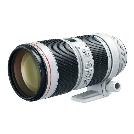 Canon EF 70-200mm f/2.8L IS III USM Telephoto Lens for Digital SLR Cameras 3044C002AA 